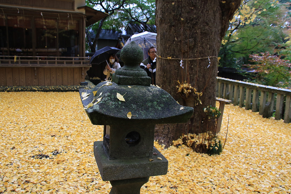 遠江國一宮 小國神社&事任八幡宮と医王山油山寺参拝バスツアーのおすすめポイント