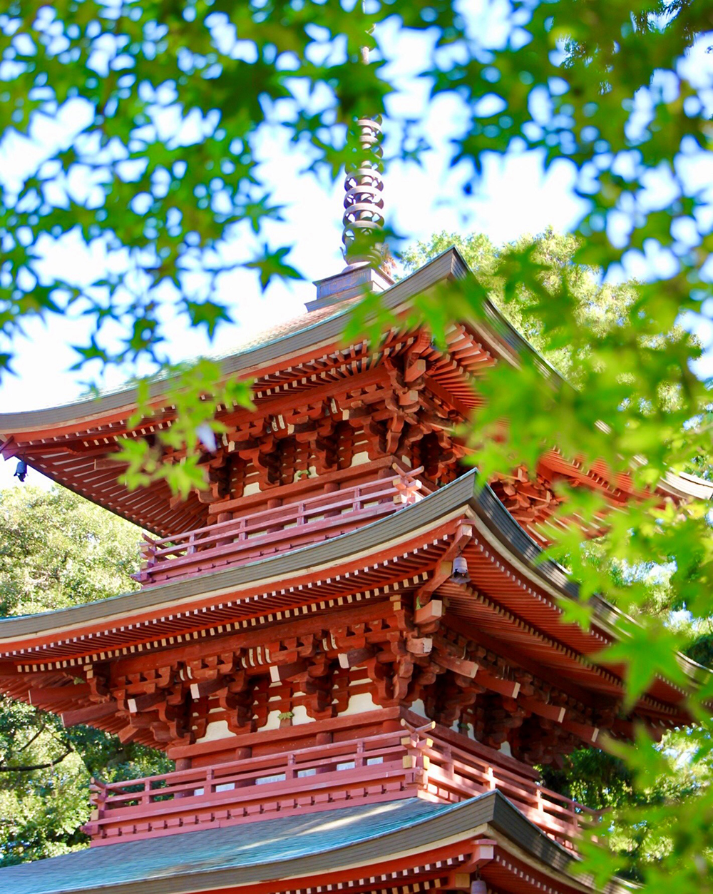 [全国旅行支援対象] 遠江國一宮 小國神社&事任八幡宮と医王山油山寺参拝バスツアーのおすすめポイント