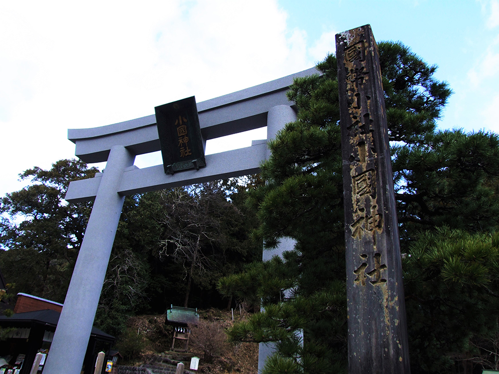 遠江國一宮 小國神社&事任八幡宮と医王山油山寺参拝バスツアーのおすすめポイント