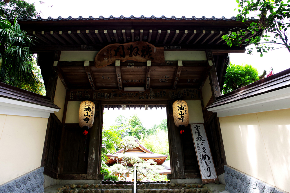 [全国旅行支援対象] 遠江國一宮 小國神社&事任八幡宮と医王山油山寺参拝バスツアーのおすすめポイント