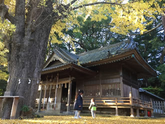 遠江國一宮 小國神社&事任八幡宮と医王山油山寺参拝バスツアーのおすすめポイント