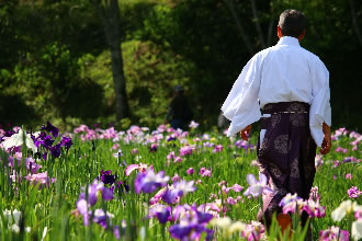 遠江國一宮 小國神社&事任八幡宮と医王山油山寺参拝バスツアーのおすすめポイント