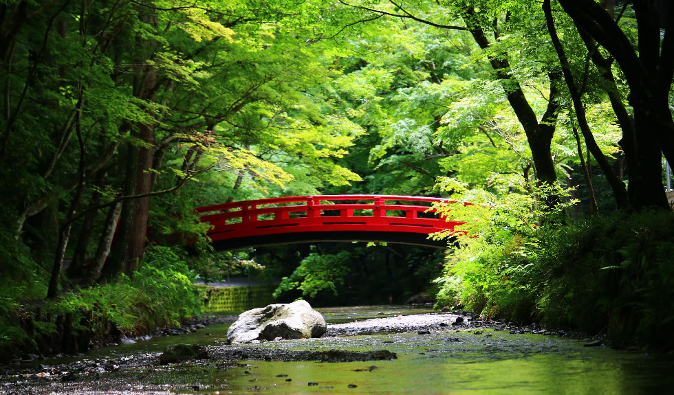 遠江國一宮 小國神社&事任八幡宮と西光寺参拝バスツアー