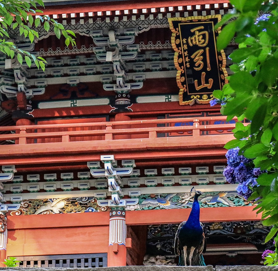 四季香る大平山神社と雨引観音バスツアーのおすすめポイント詳細