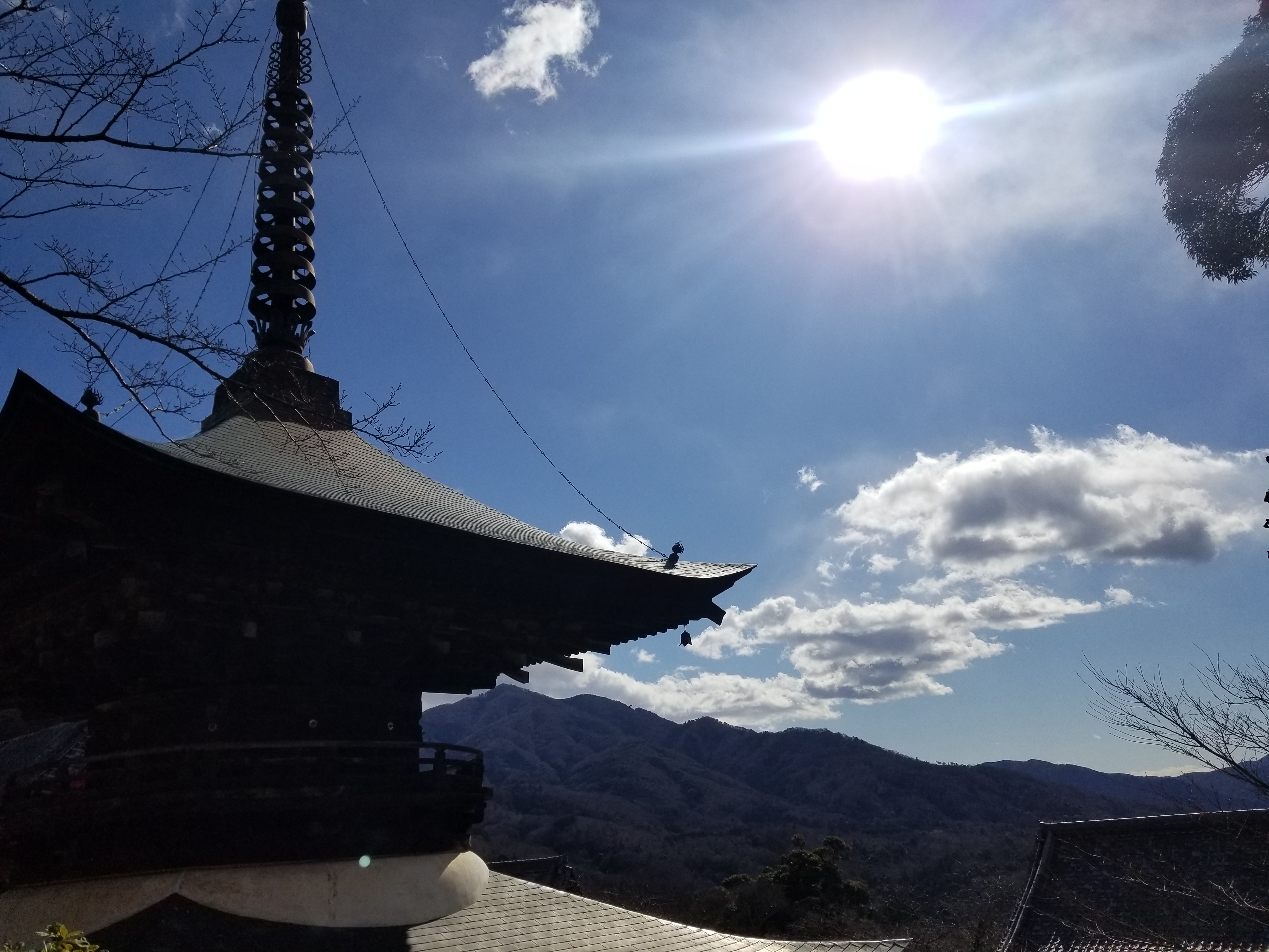 ナイトフラワーガーデンと大平山神社と雨引観音バスツアーのおすすめポイント詳細