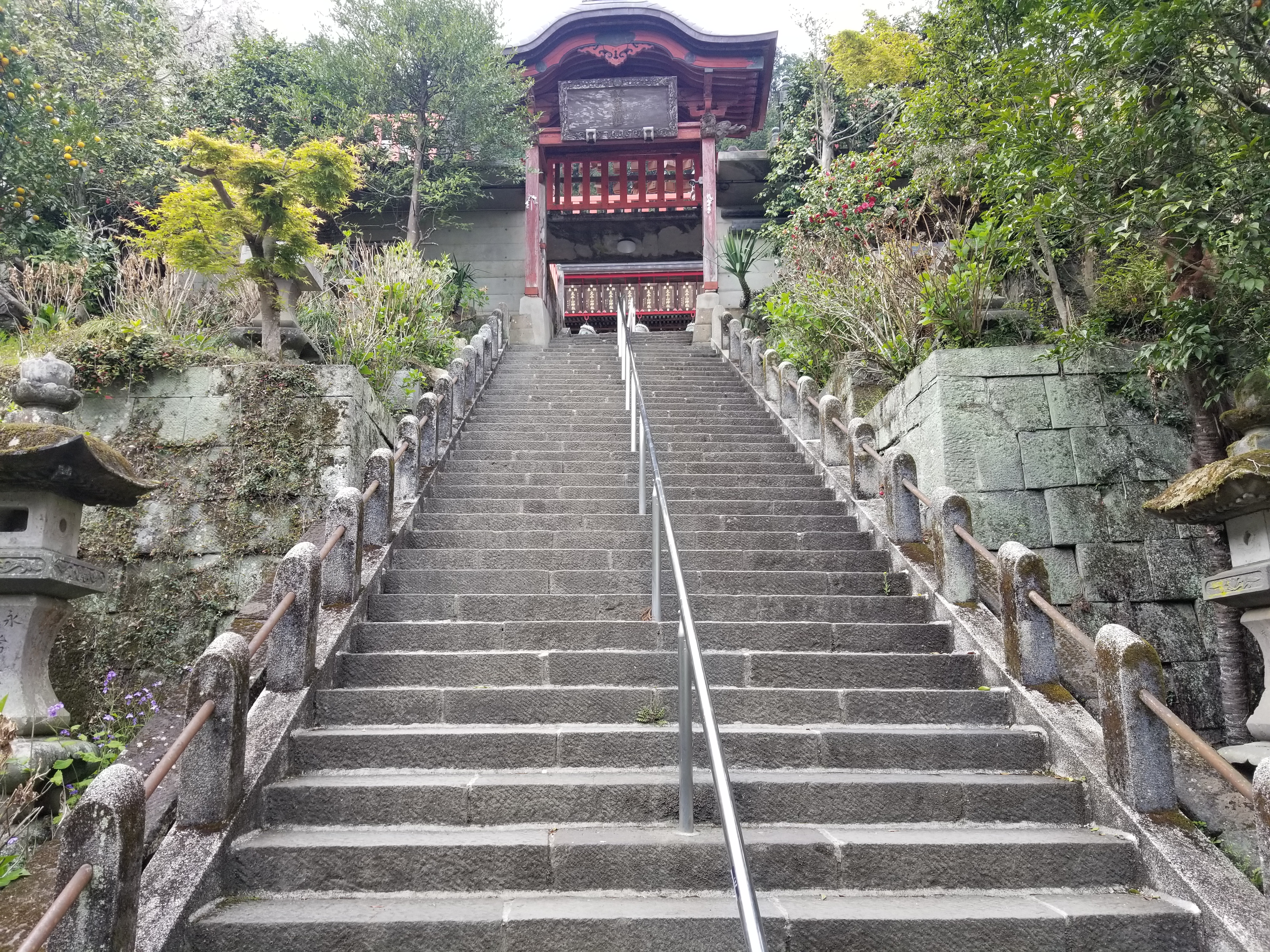 ナイトフラワーガーデンと大平山神社と雨引観音バスツアーのおすすめポイント詳細