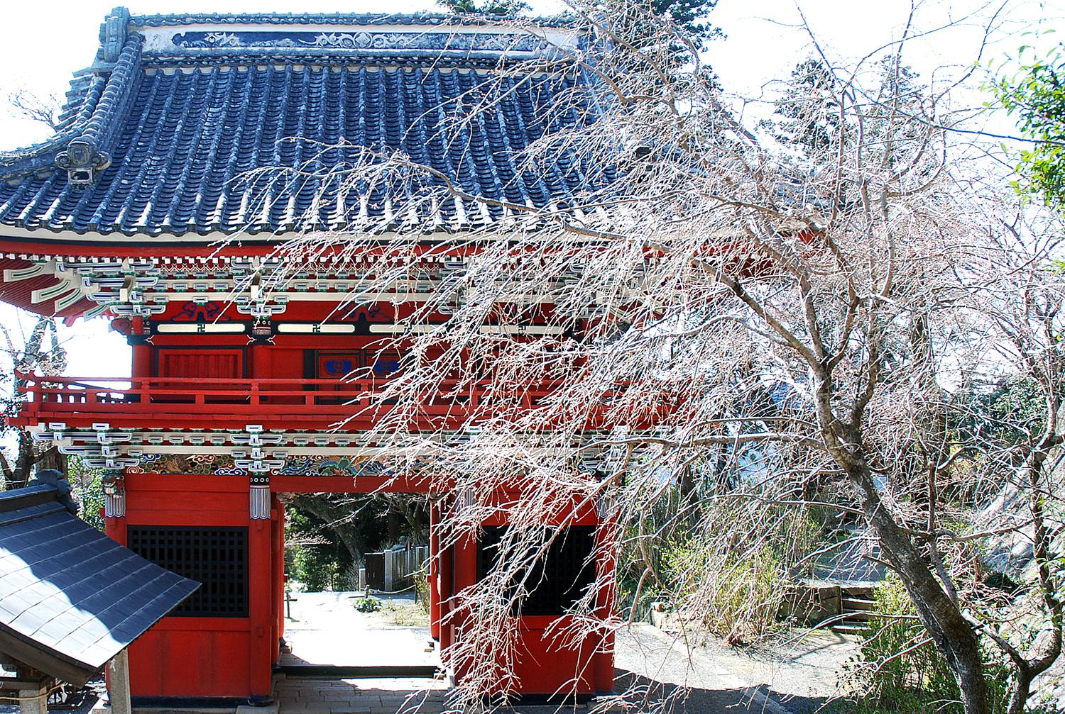 四季香る大平山神社と雨引観音バスツアーのおすすめポイント詳細