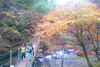 大柳川渓谷