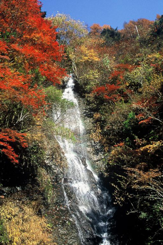 大柳川渓谷ハイキングとぶどう狩りのおすすめポイント内のイメージ2