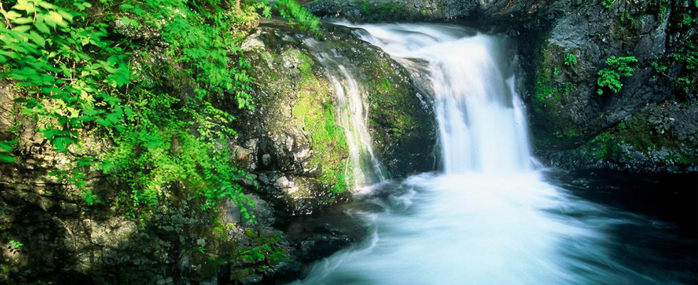 大柳川渓谷ハイキングとぶどう狩り＆絶景のほったらかし温泉