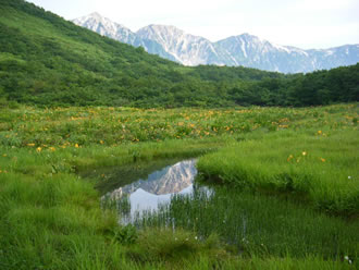 八方池ハイキング登山ツアーのおすすめポイント内のイメージ2