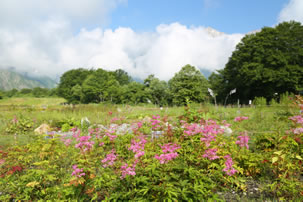 八方池ハイキング登山ツアーのイメージ