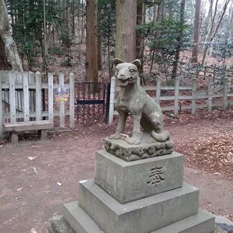 [全国旅行支援対象] 三十槌の氷柱と宝登山蝋梅（ろうばい）バスツアーのおすすめポイント詳細