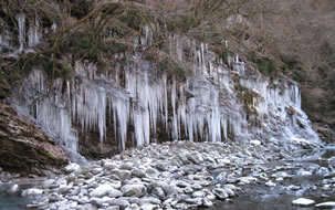 [全国旅行支援対象] 三十槌の氷柱と宝登山蝋梅（ろうばい）バスツアーのイメージ