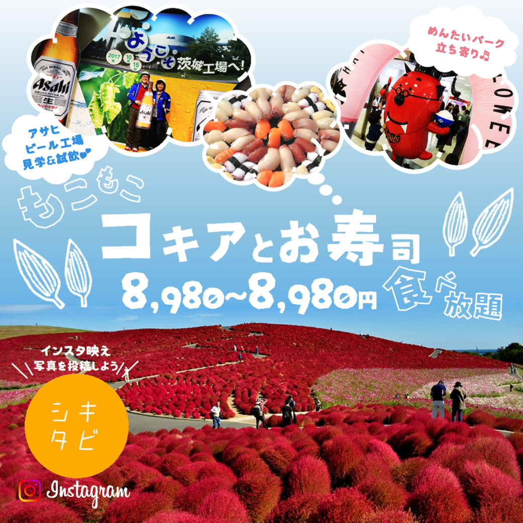 ひたち海浜公園のコキアコスモスと那珂湊おさかな市場のすし食べ放題ツアーのスマホ版ヴィジュアル