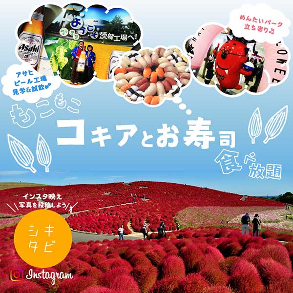 ひたち海浜公園のコキアとすし食べ放題ツアーのスマホ版ヴィジュアル
