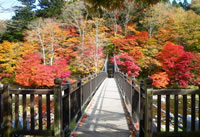 塩原渓谷（イメージ）