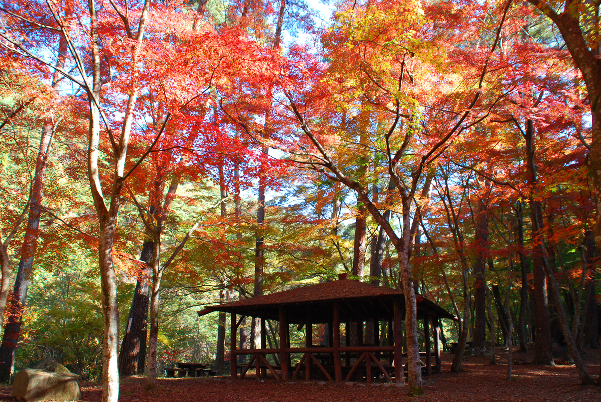 日本一の渓谷美！御嶽昇仙峡と昇仙峡ロープウェイからの絶景ハイキングバスツアーのおすすめポイント