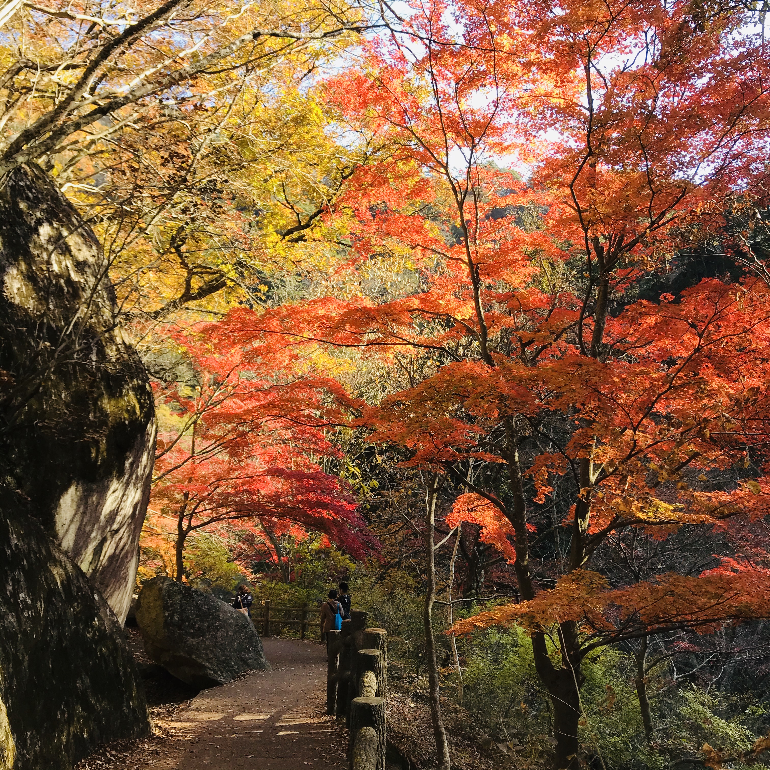 日本一の渓谷美！御嶽昇仙峡と昇仙峡ロープウェイからの絶景ハイキングバスツアーのイメージ