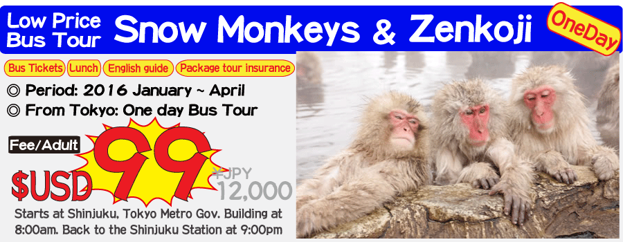 Snow monkey Bus Tour
