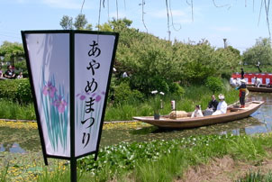 潮来のあやめまつりと香取神宮ツアーのイメージ2