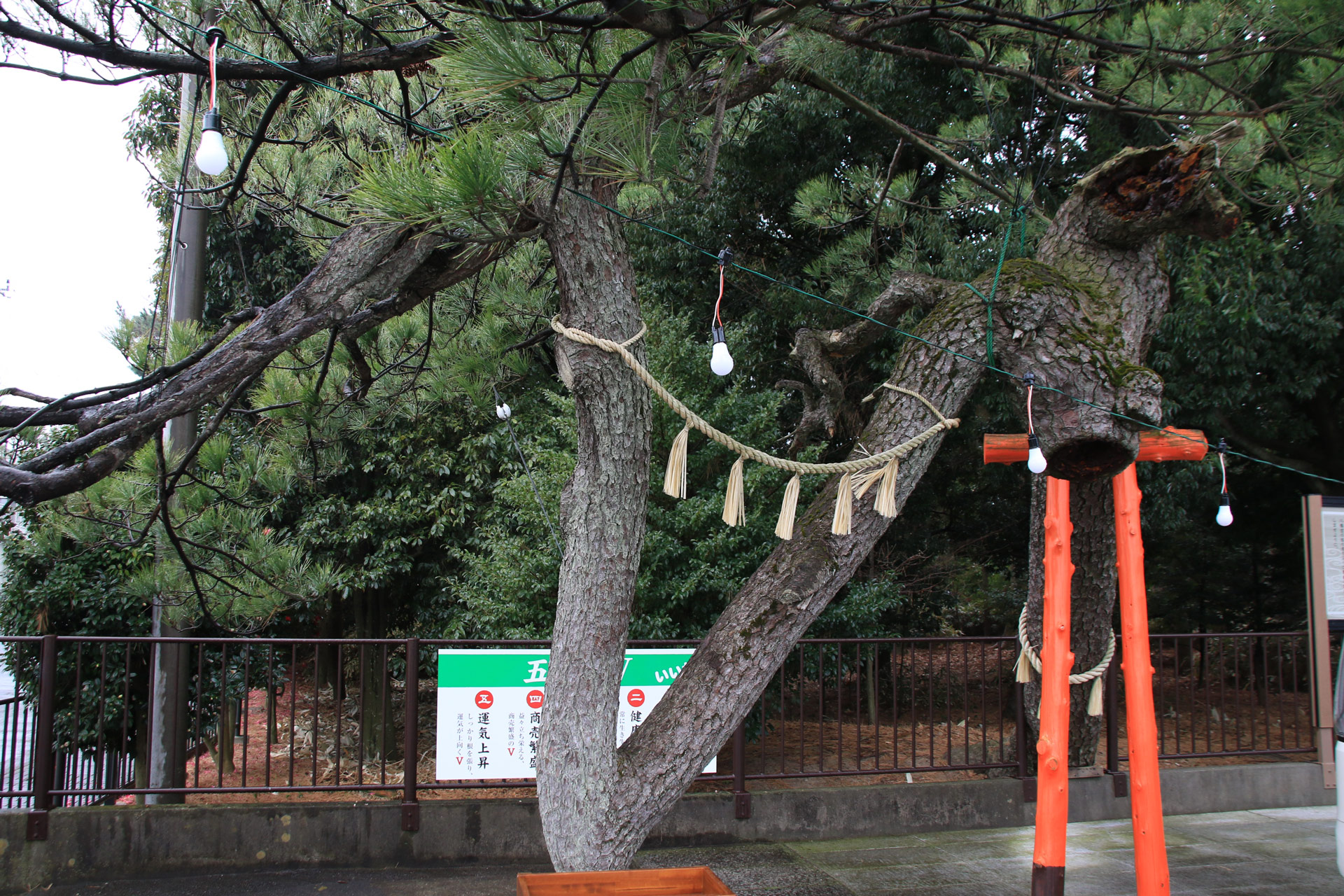 【高崎・太田発】玉村八幡宮の戌亥の日限定御朱印バスツアーのおすすめポイント詳細