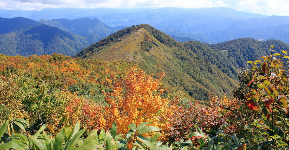 谷川岳ハイキングツアーの画像