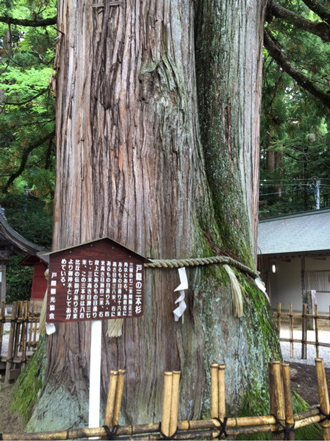 W参拝！善光寺と戸隠神社(中社)のおすすめポイント内のイメージ