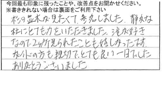 お客様の感想・口コミ