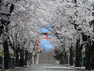 一之宮貫前神社と富岡製糸場バスツアーのイメージ