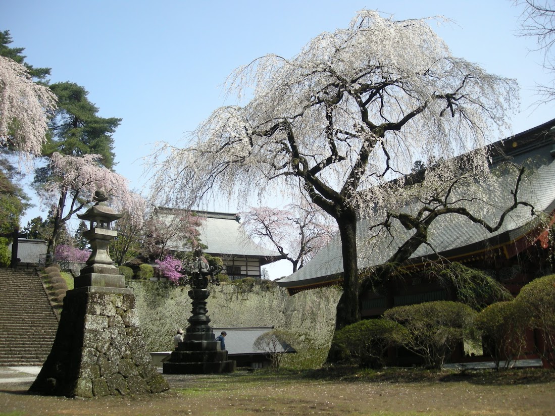 一之宮貫前神社と富岡製糸場バスツアーのイメージ