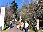 筑波山梅まつり・うめでら東持寺、筑波山神社と健田須賀神社の御朱印めぐりのレポート写真