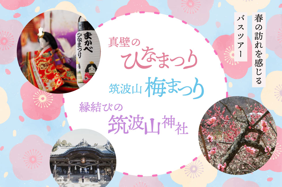 筑波山の梅と茨城河津桜ツアーの画像