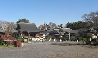 筑波山梅まつりとうめでら&筑波山神社・健田須賀神社参拝バスツアーのおすすめポイント詳細