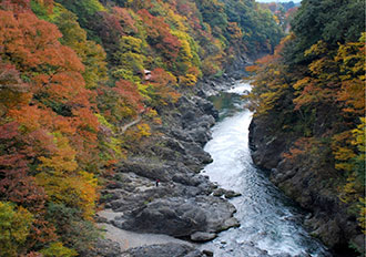 紅葉の日光とわたらせ渓谷バスツアーのおすすめポイント