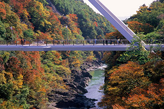紅葉の日光とわたらせ渓谷バスツアーのイメージ