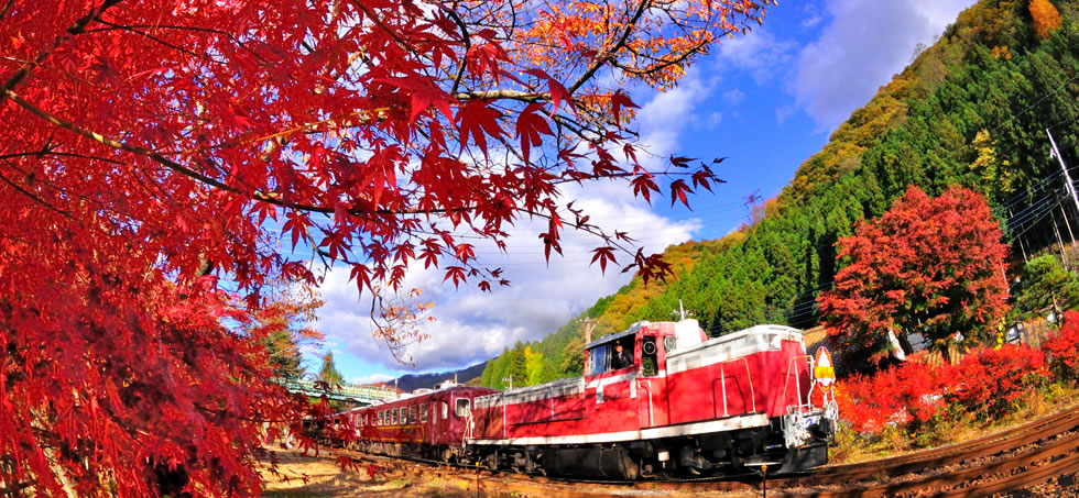 [全国旅行支援対象] 紅葉の日光とわたらせ渓谷バスツアー