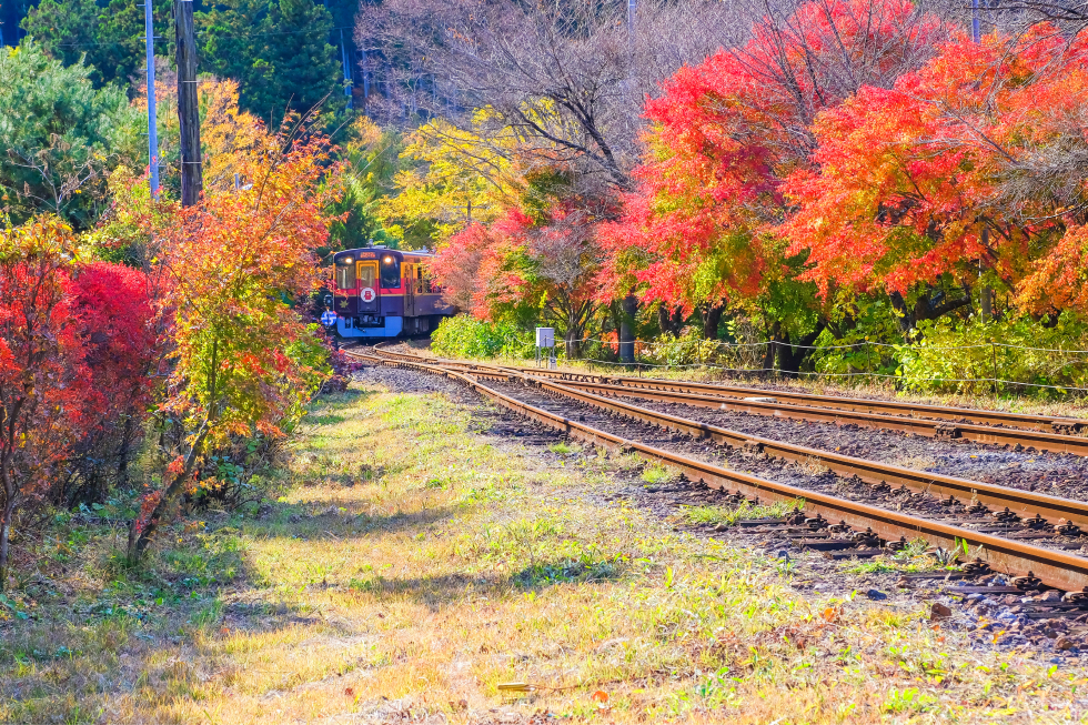 [全国旅行支援対象] 紅葉の日光とわたらせ渓谷&和スイーツ食べ歩きバスツアー