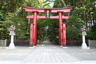 　弥彦神社と寺泊の市場通りバスツアーのおすすめポイント