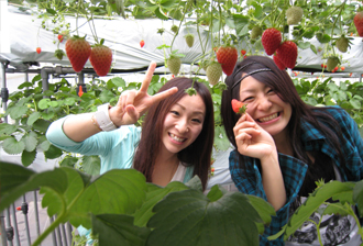 豪華休日満喫☆母の日スペシャルin静岡のおすすめポイント詳細