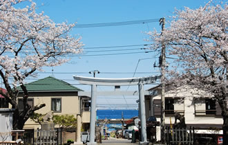 よこすかスプリングフェスタ &走水神社参拝のおすすめポイント