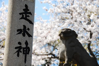 よこすかスプリングフェスタ &走水神社参拝のおすすめポイント