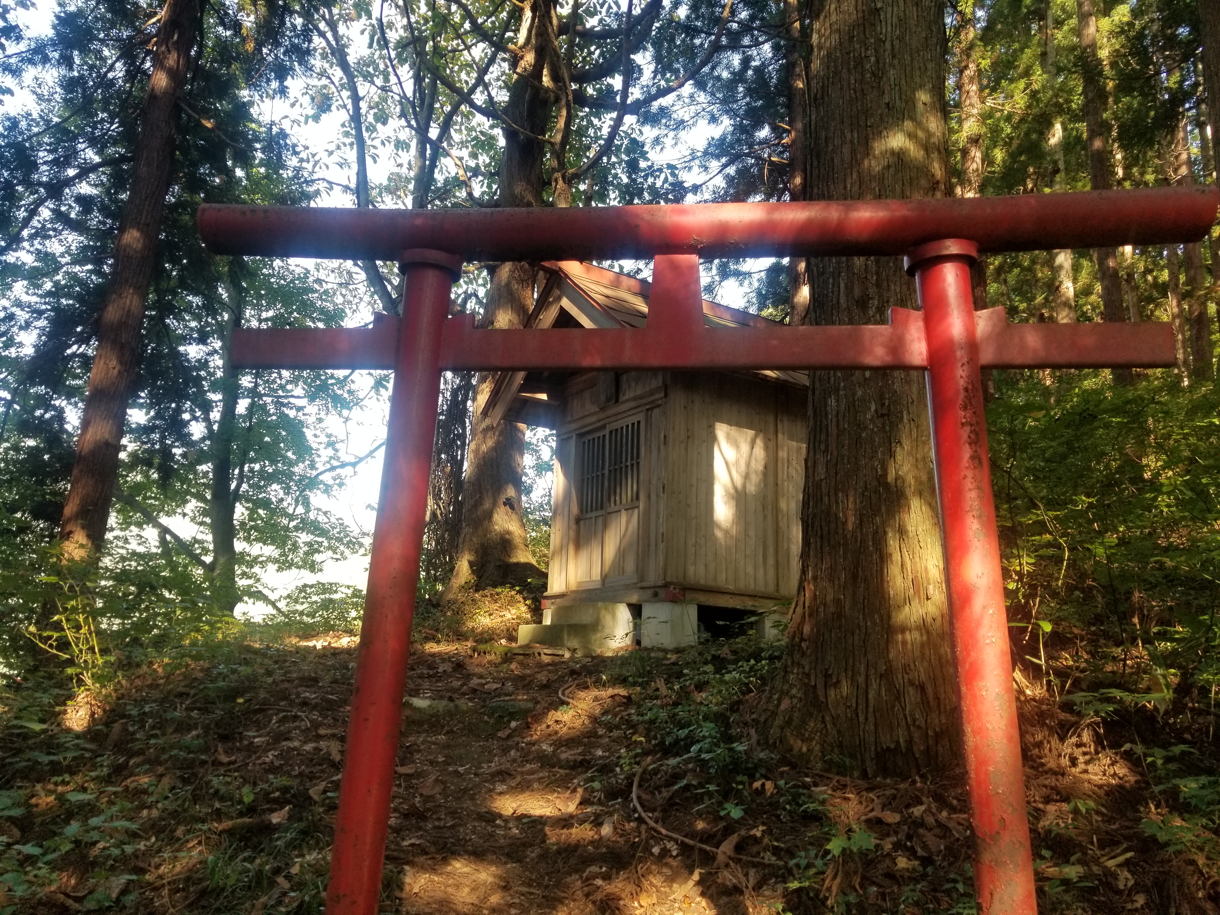 大峯百番観音巡礼路ハイキングバスツアー【坂東三十三観音】のおすすめポイント