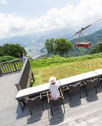 絶景！鏡のような世界 清津峡と雲の上の花畑バスツアーのおすすめポイント詳細