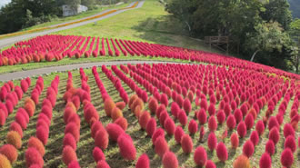 絶景！鏡のような世界 清津峡と雲の上の花畑バスツアーのおすすめポイント詳細2