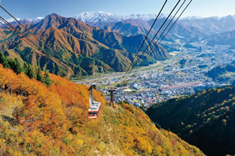 [全国旅行支援対象] 絶景！鏡のような世界 清津峡と雲の上の花畑バスツアーのおすすめポイント詳細2