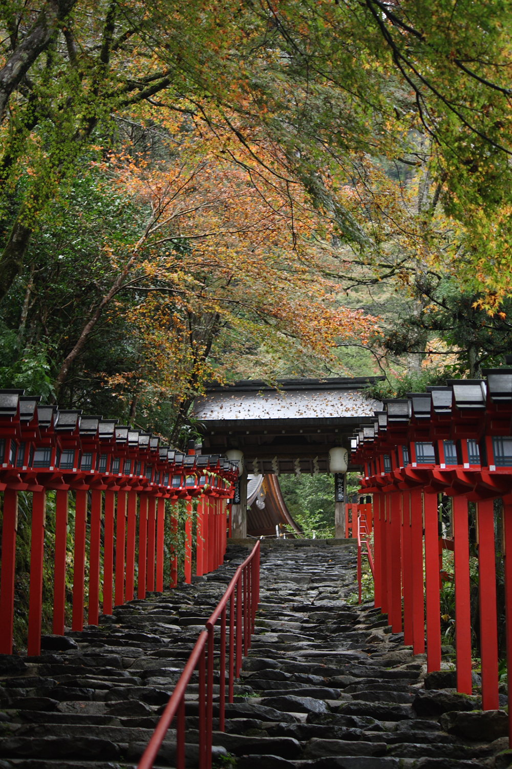 京都を「歩く」～大原三千院・鞍馬寺・貴船神社・上賀茂神社・下鴨神社・吉田神社と東寺～の魅力