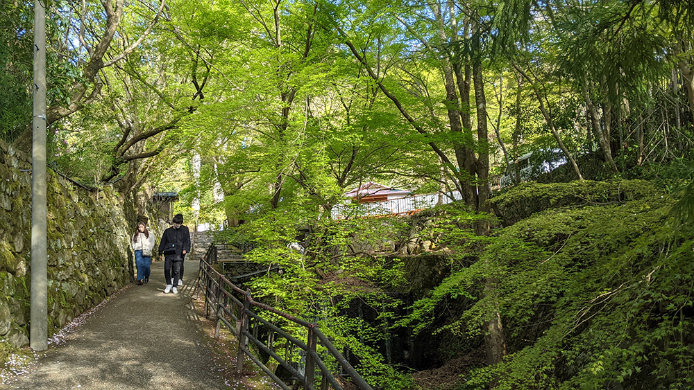 京都を「歩く」～大原三千院・鞍馬寺・貴船神社・上賀茂神社・下鴨神社・吉田神社と東寺～の魅力