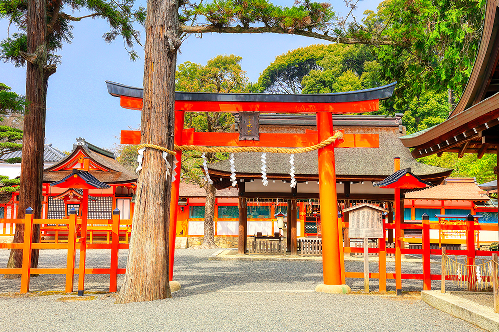 京都を「歩く」～大原三千院・鞍馬寺・貴船神社・上賀茂神社・下鴨神社・吉田神社と東寺～の魅力