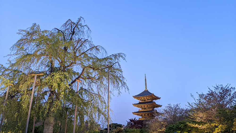 京都を「歩く」～大原三千院・鞍馬寺・貴船神社・上賀茂神社・下鴨神社・吉田神社と東寺～の魅力